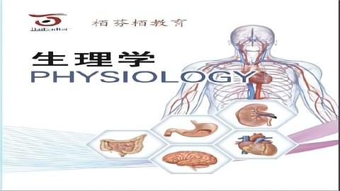 默认计划 
