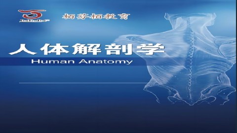 默认计划 